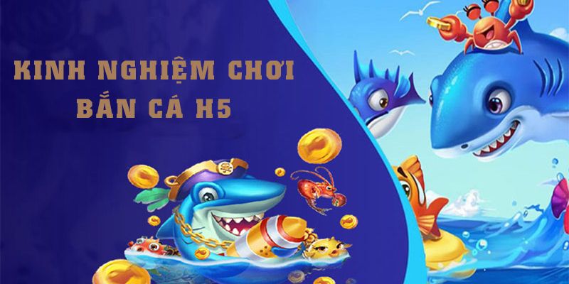 Mẹo săn cá nâng cao từ các cao thủ lão làng 