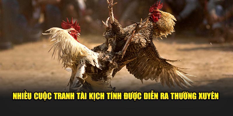 Nhiều cuộc tranh tài kịch tính được diễn ra thường xuyên