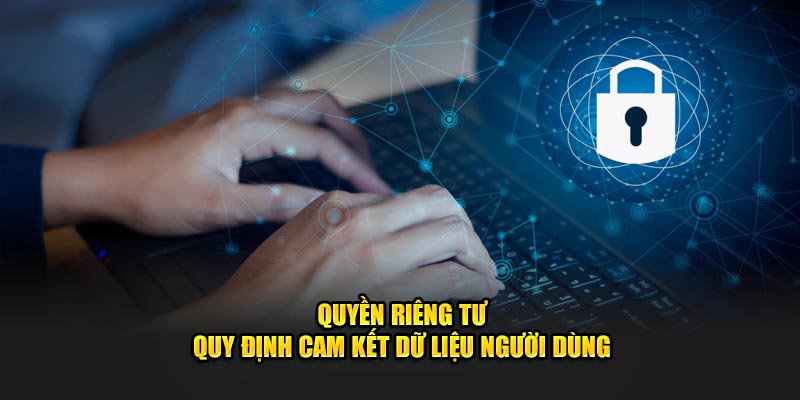 Quyền Riêng Tư - Quy Định Cam Kết Dữ Liệu Người Dùng 