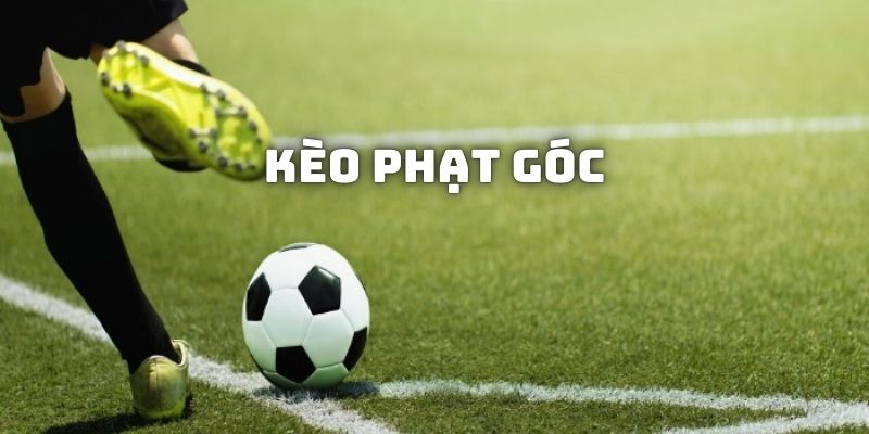 Chia Sẻ Công Thức Đại Thắng Kèo Phạt Góc Từ Chuyên Gia